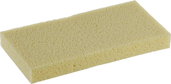 Spare facing, absorbent sponge