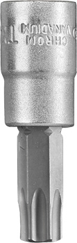 Socket Wrench Bit Insert, 1/4" x T40