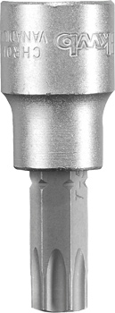 Socket Bit Insert, 3/8" x T50