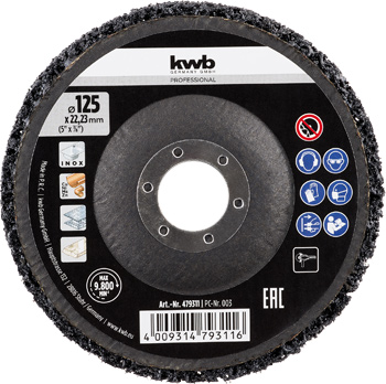 Cleaning Disc, Offset, Ø 125 mm