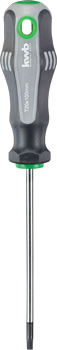 Workshop Screwdriver, 100 mm, T20