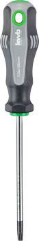 Workshop Screwdriver, 100 mm, T25