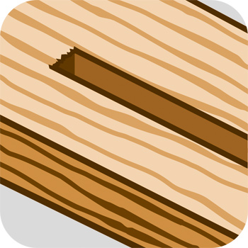 Längsschnitt Holz 