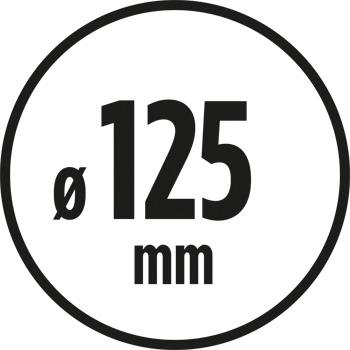 Schleifscheibe 125 mm
