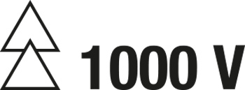 1000 V