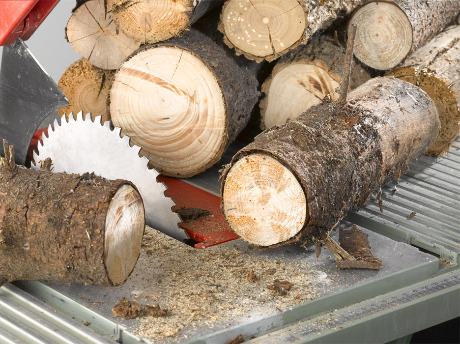 Saw for cutting firewood discount