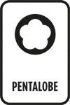 Pentalobe